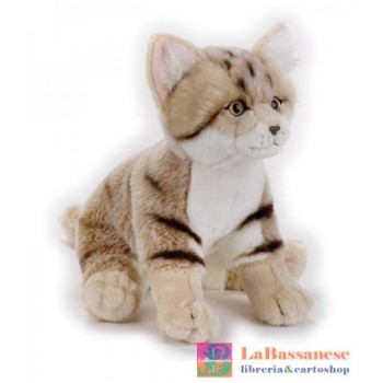 GATTO DELLE SABBIE NGS -...