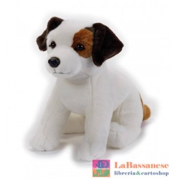 JACK RUSSEL NGS - 770686