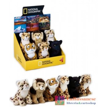 BABY FELINI BIG CATS NGS -...