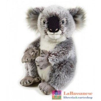 KOALA MEDIO (NGS) - 770708