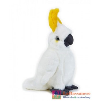 CACATUA MEDIO NGS - 770710