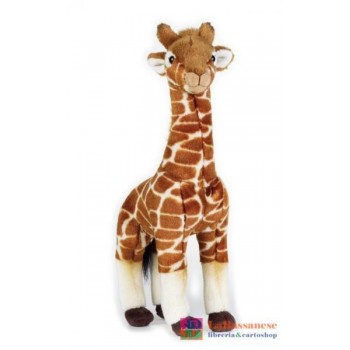 GIRAFFA MEDIA NGS - 770718