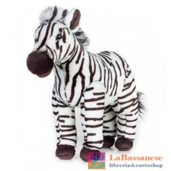 ZEBRA MEDIA (NGS) - 770720