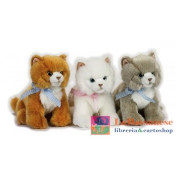 MIRTILLO GATTINO - 731115