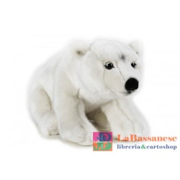 ORSO POLARE MEDIO (NGS) -...