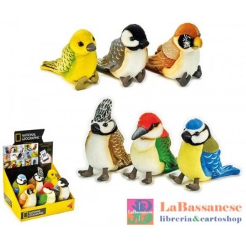 COLOURFUL BIRDS (NGS) - 770794