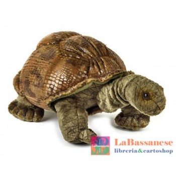 TARTARUGA GIGANTE (NGS) -...