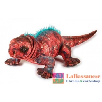 IGUANA MARINO MASCHIO (NGS)...