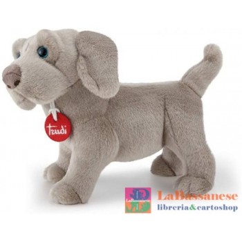WEIMARANER WOLFGANG S...
