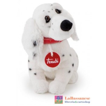 SETTER INGLESE XS - 22045