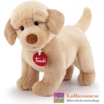 LABRADOR LIAM S CM.15X19X29...