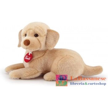 LABRADOR LIAM S CM.11X21X25...
