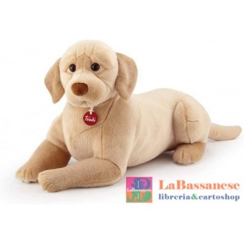 LABRADOR LIAM XL...