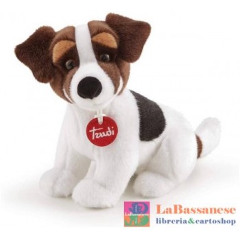 JACK RUSSEL JACK S...