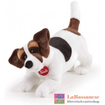 JACK RUSSEL JACK M...