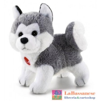 SW COL HUSKY XXS CM.6X8X10...