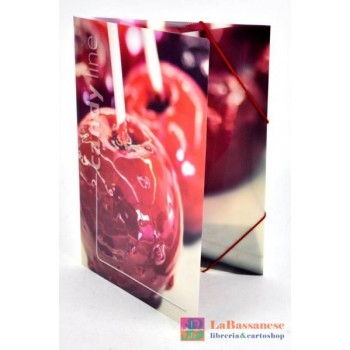 CARTELLINA 3 LEMBI IN...