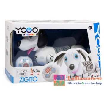 YCOO ZIGITO - 20731799