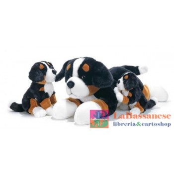 KID CANE BERNESE SEDUTO H....