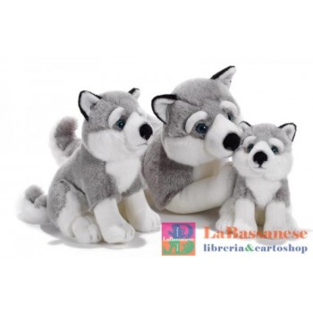 TOMSKY HUSKY SIBERIANO H.29...