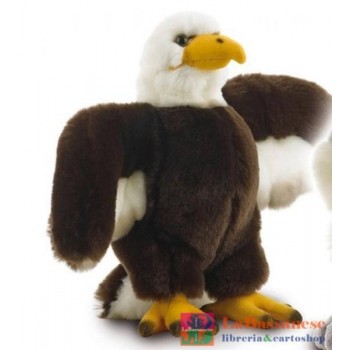 AQUILA H.21 CM - 10013