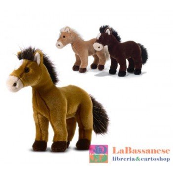 UTAH'S WILD HORSES BREED...
