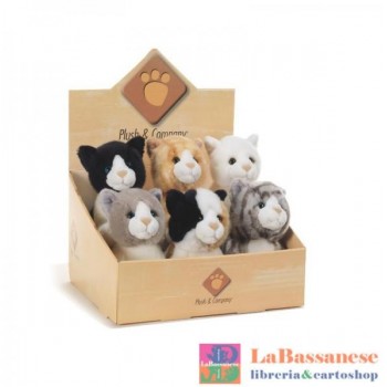 BIRBE GATTINI MULTIPOSE 6...