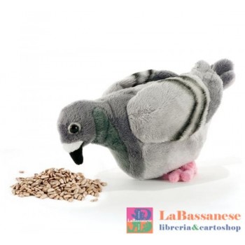 CLAUDE LE PIGEON PICCIONE...