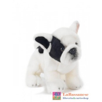 FRANCKY BULLDOG FRANCESE...