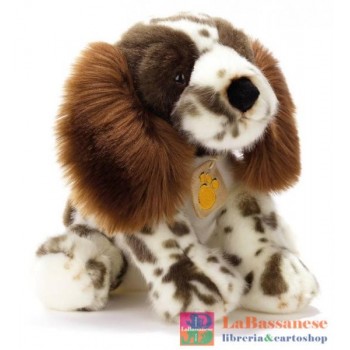 ODDO SPRINGER SPANIEL 23...