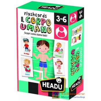 FLASHCARDS IL CORPO UMANO - IT24551