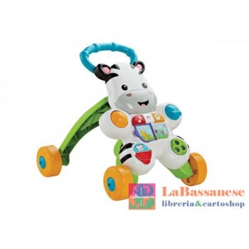 ZEBRA PRIMI PASSI - DLD91
