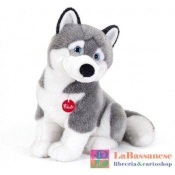 HUSKY MARCUS L - 22273