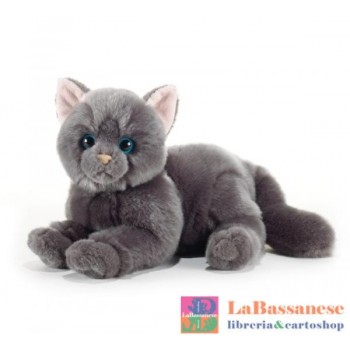 MIGNONNE GATTA CHARTREUX L....