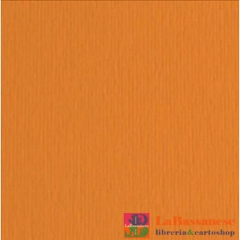 ELLE-ERRE 70X100 ARANCIO (10FF) 220G/M2 - 46470108