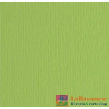 ELLE-ERRE 70X100 VERDE PISELLO (10FF) 220G/M2 - 46470110