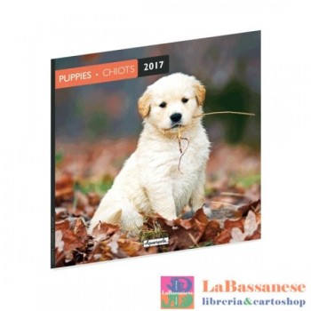 2017 CALEND 30X30 CHIOTS AQUARUPELLA (Cod. GUTAQ14401)