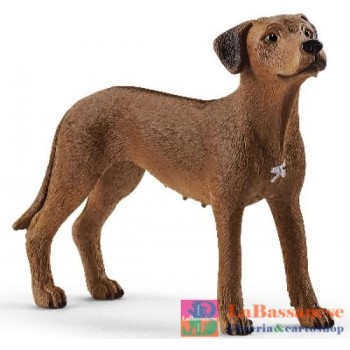 RHODESIAN RIDGEBACK (SERIE...