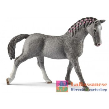 GIUMENTA TRAKEHNER (SERIE...