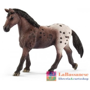 GIUMENTA APPALOOSA (SERIE...