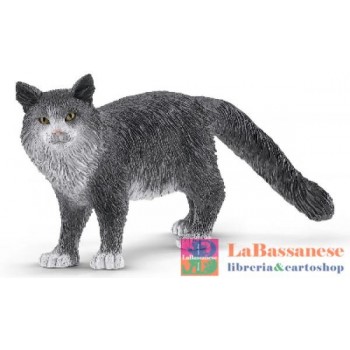 GATTO MAINE-COON (SERIE...