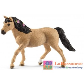 CONNEMARA PONY MARE (SERIE...