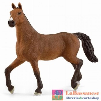 OLDENBURGER MARE (SERIE...
