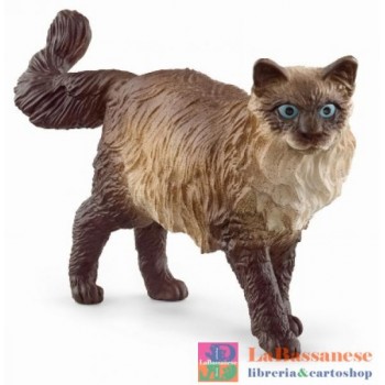 RAGDOLL CAT (SERIE FARM...