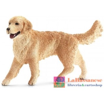 GOLDEN RETRIEVER FEMMINA...