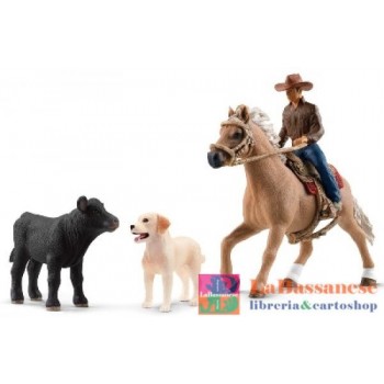 EQUITAZIONE AMERICANA CON...