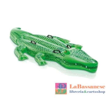 COCCODRILLO CAVALC. 58562NP...