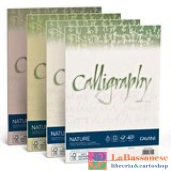 25 BUSTE CALLIGRAPHY NATURE...