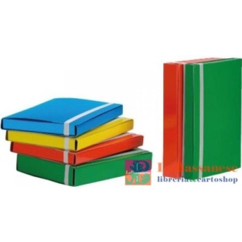 CARTELLINA 3 LEMBI D3 ASS...