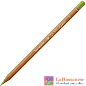 PASTELLO LUMINANCE VERDE...